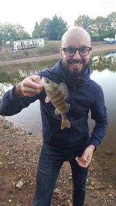 European Perch