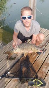 Common Carp