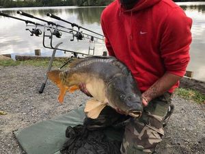 Mirror Carp