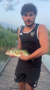 Largemouth Bass