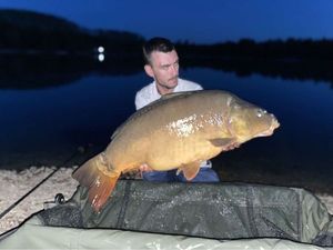 Mirror Carp