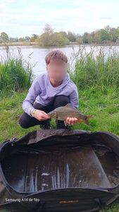 Common Carp