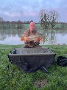 Common Carp