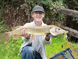 Northern Pike