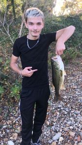 Largemouth Bass