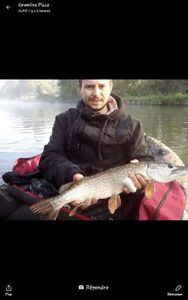 Northern Pike