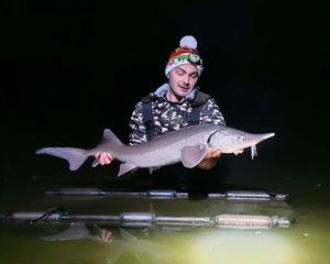 Sturgeon