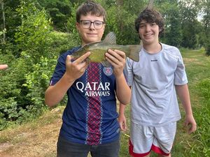 Tench