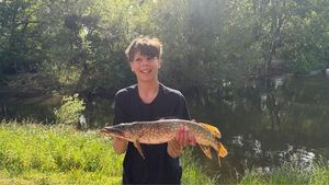 Northern Pike