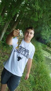 European Perch