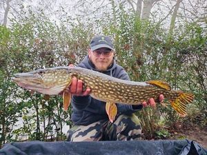 Northern Pike