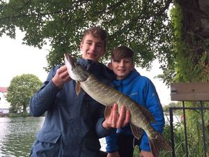 Northern Pike