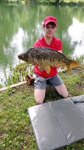 Mirror Carp