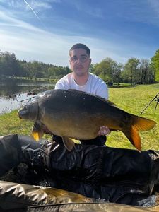 Mirror Carp