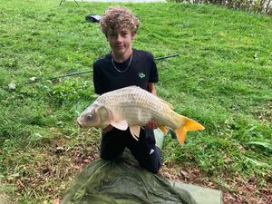 Common Carp