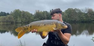 Mirror Carp