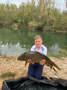 Mirror Carp