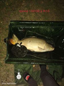 Leather Carp