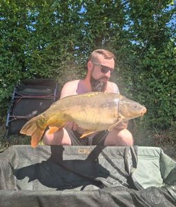 Mirror Carp