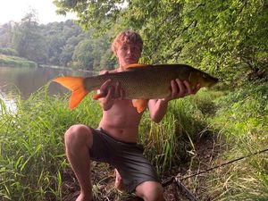 Barbel