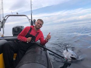 Bluefin Tuna