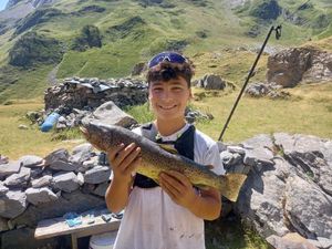 Brown Trout