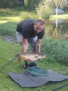 Common Carp