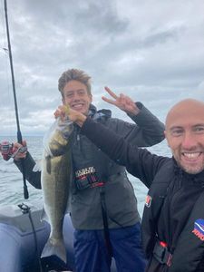 European Bass (Seabass)