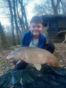 Common Carp