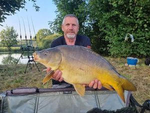 Mirror Carp