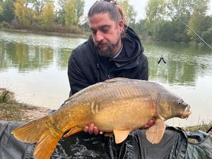 Mirror Carp