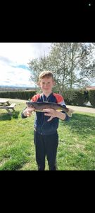 Rainbow Trout