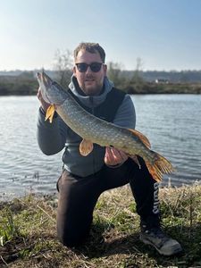 Northern Pike