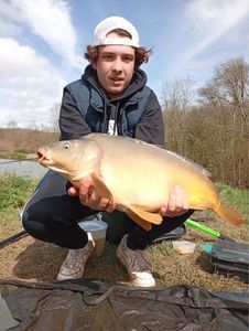Mirror Carp