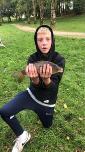 Common Carp