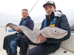 Conger
