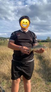 Mirror Carp