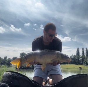 Mirror Carp