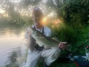Zander