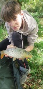 Common Carp