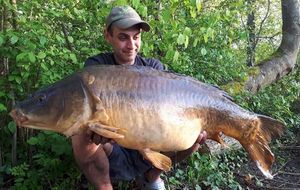 Mirror Carp