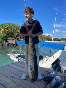 Dolphinfish
