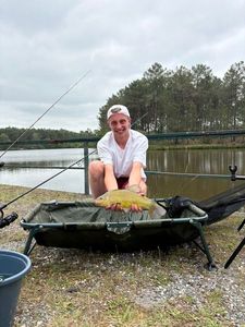Tench
