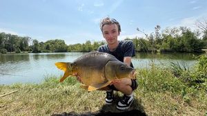 Mirror Carp