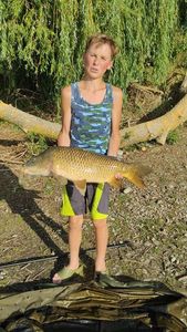 Common Carp