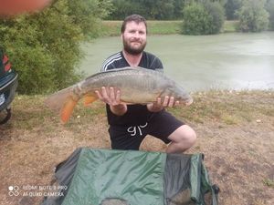 Mirror Carp