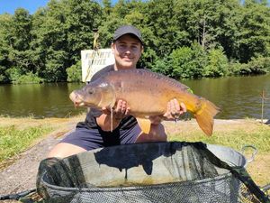 Common Carp