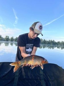 Koï Fish