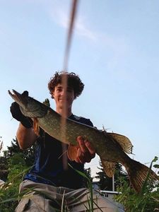 Northern Pike