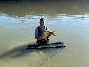 Mirror Carp